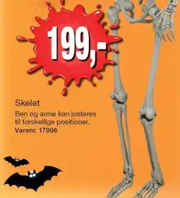 Harald Nyborg Skelet tilbud