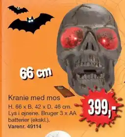 Harald Nyborg Kranie med mos tilbud