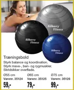 Harald Nyborg Kilberry Fitness Træningsbold tilbud