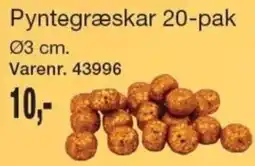 Harald Nyborg Pyntegræskar tilbud