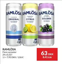 Nielsen's Discount RAMLÖSA tilbud