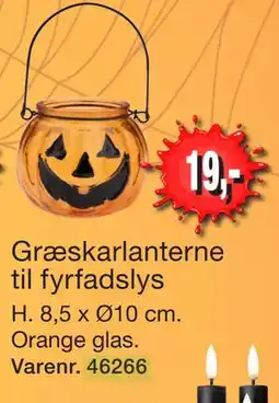 Harald Nyborg Græskarlanterne til fyrfadslys tilbud