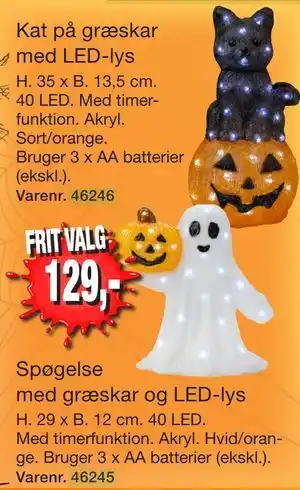 Harald Nyborg Kat på græskar med LED-lys tilbud