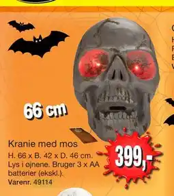 Harald Nyborg Kranie med mos tilbud