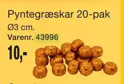 Harald Nyborg Pyntegræskar 20-pak tilbud