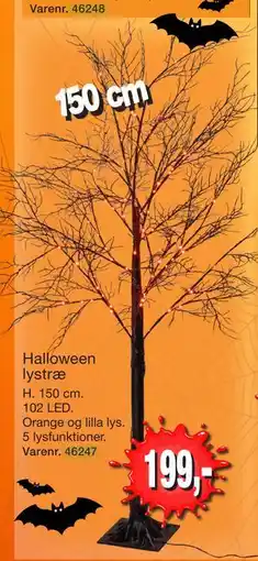 Harald Nyborg Halloween lystræ tilbud
