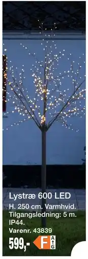 Harald Nyborg Lystræ 600 LED tilbud