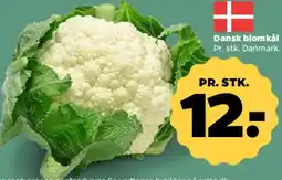 Netto Dansk blomkål tilbud