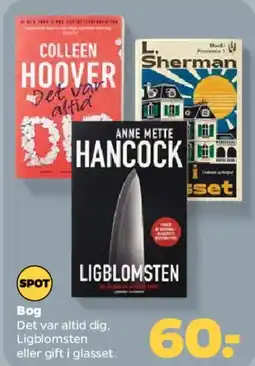 Netto Bog – Ligblomsten / Det var altid dig tilbud