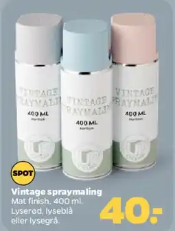 Netto Vintage spraymaling tilbud