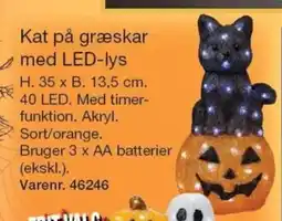 Harald Nyborg Kat på græskar med LED-lys tilbud