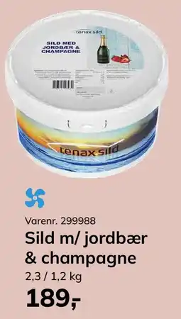 Dagrofa Food Service Tenax Sild m/ jordbær & champagne tilbud