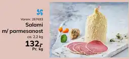 Dagrofa Food Service Salami m/ parmesanost tilbud