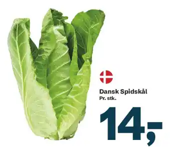 Dansk Spidskål
