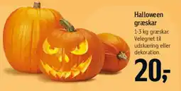 Føtex Halloween græskar tilbud