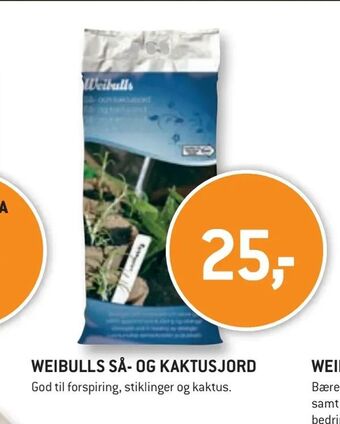 XL-BYG Weibulls så- og kaktusjord tilbud