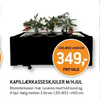 XL-BYG Kapillærkasseskjuler m/hjul tilbud