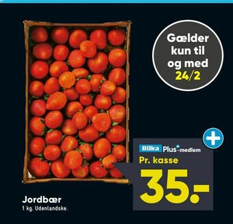 Bilka Jordbær tilbud