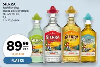 Sierra tequila lime eller tropical