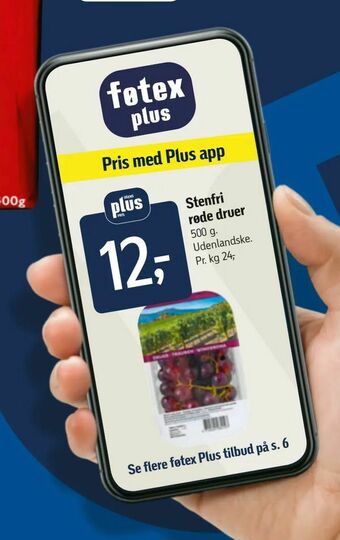 Føtex Stenfri røde druer tilbud