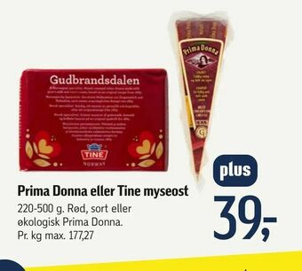 Prima Donna eller Tine myseost