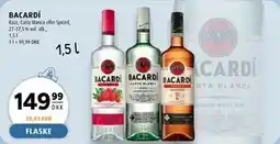 Scandinavian Park BACARDÍ tilbud