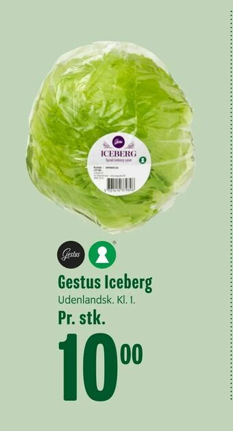 Gestus Iceberg