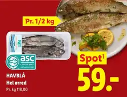 Lidl Havblå Hel ørred tilbud