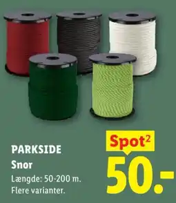 Lidl Parkside Snor tilbud
