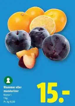 Lidl Blommer eller mandariner tilbud