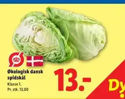 Lidl Økologisk dansk spidskål tilbud