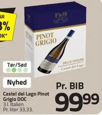 Castel del Lago Pinot Grigio DOC