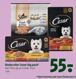 Coop 365 Sheba eller Cesar big pack tilbud