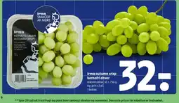 Coop 365 Irma autumn crisp kernerfri druer tilbud