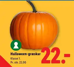 Lidl Halloween-græskar tilbud