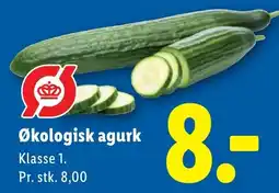 Lidl Økologisk agurk tilbud