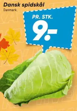 Bilka Spidskål tilbud