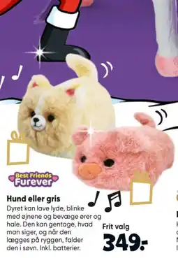 Bilka Best Friends Furever Hund eller gris tilbud