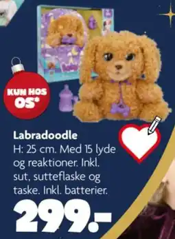 Fætter BR Labradoodle tilbud