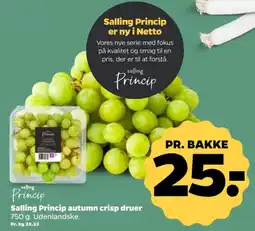 Netto Salling Princip autumn crisp druer tilbud