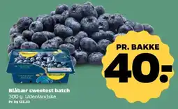 Netto Driscolls Blåbær tilbud
