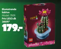 Fætter BR LEGO Blomstrende kaktus tilbud