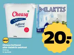 Netto Cheasy hytteost eller Delaktis salatost tilbud