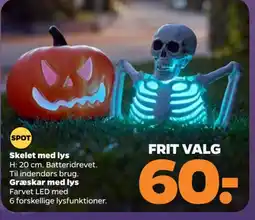 Netto Spot Skelet med lys tilbud