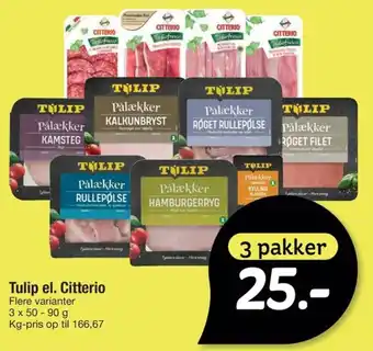 Tulip el. Citterio