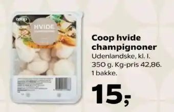 Coop hvide champignoner