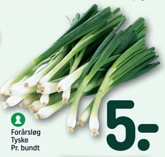 REMA 1000 Forårsløg Tyske tilbud