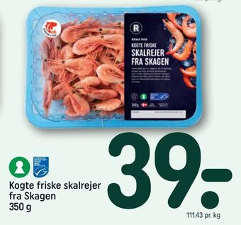 Kogte friske skalrejer fra Skagen
