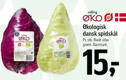 Føtex Økologisk dansk spidskål tilbud