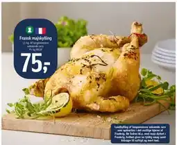 Føtex Fransk majskylling tilbud